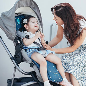 POLED Airluv3 Baby Car Seat Cooler Pad (with fan) - Astro